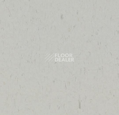 Линолеум Forbo Marmoleum Solid Piano 3629-362935 frosty grey фото 1 | FLOORDEALER